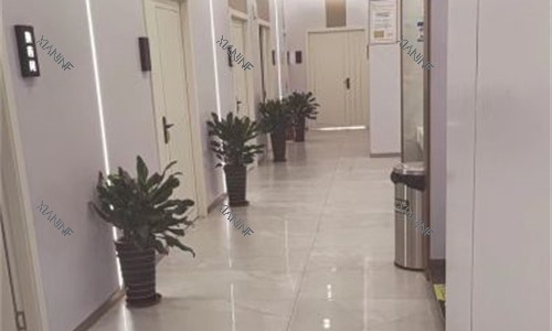泉州薇琳凯医疗美容诊室门口走廊.jpg 泉州薇琳凯医疗美容诊室门口走廊.jpg