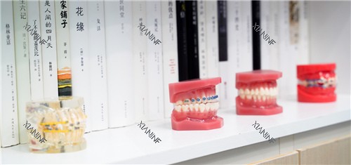 牙套模型图展示.jpg