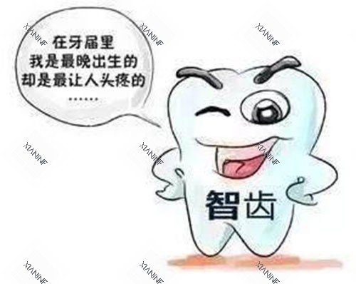 智齿动画示意图.jpg