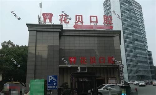 毕节花贝口腔外观.png