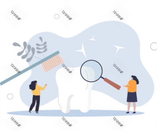 牙齿清洁示意图.jpg